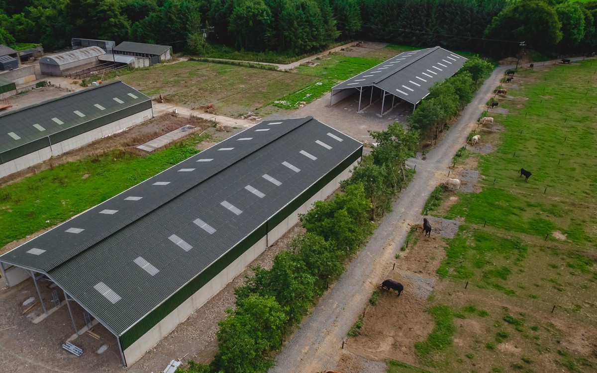 How agricultural roofing can maximise animal welfare  