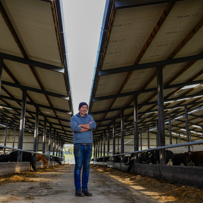 Irish Dairy Farming: Testimonial on the Best Product for Farm Shed Roofing