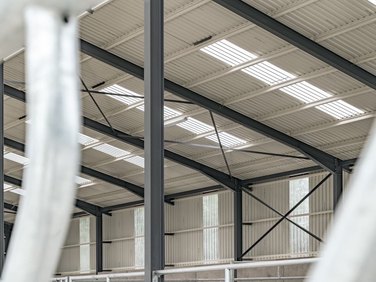 Metal sheeting white roof lights euronit
